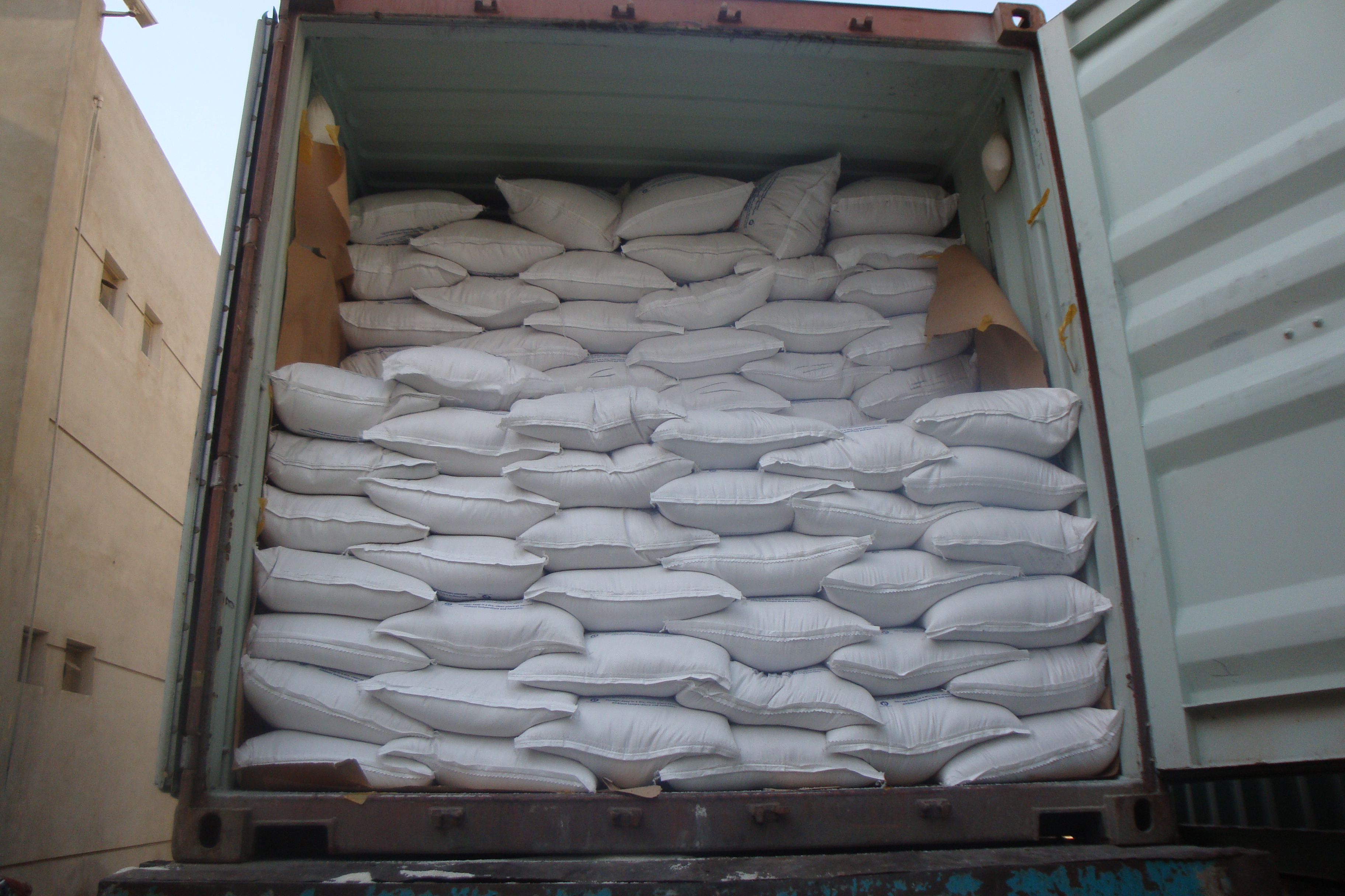 PP bags loaded into 20 foot container at Karachi mill