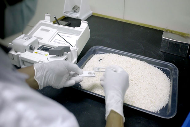 Quality inspection at HAS Rice Pakistan mill