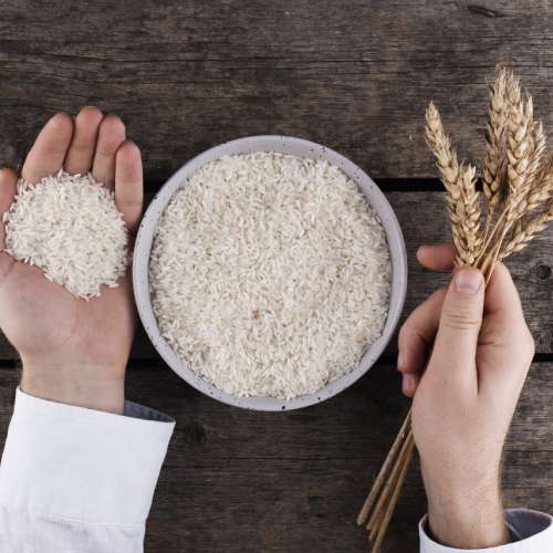 Hands holding whole-kernel 1121 Basmati rice, illustrating nil broken percentage